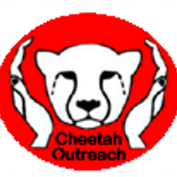 Cheetah Outreach (@cheetahoutreach) 's Twitter Profile