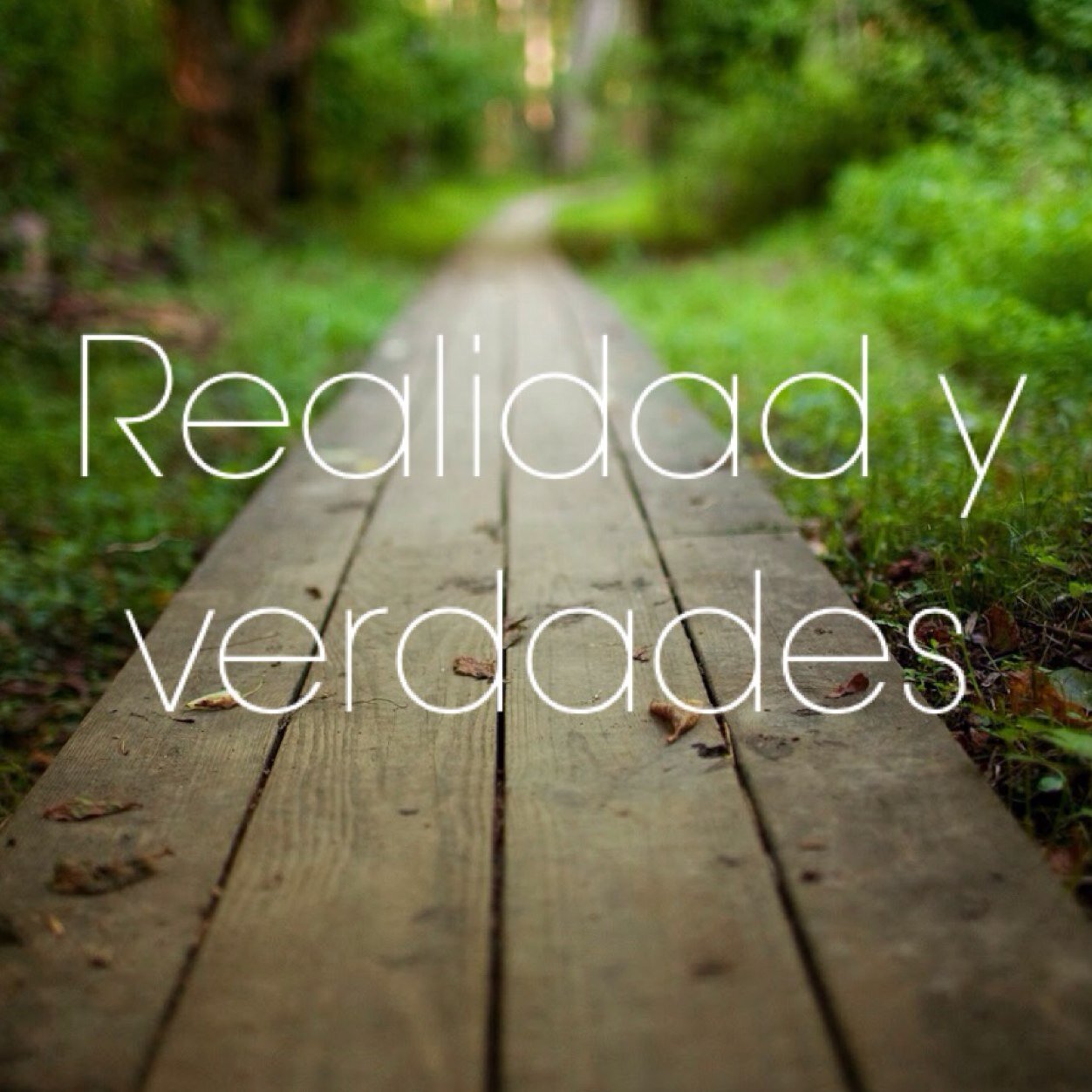 RealidadVerdad3's profile picture. 