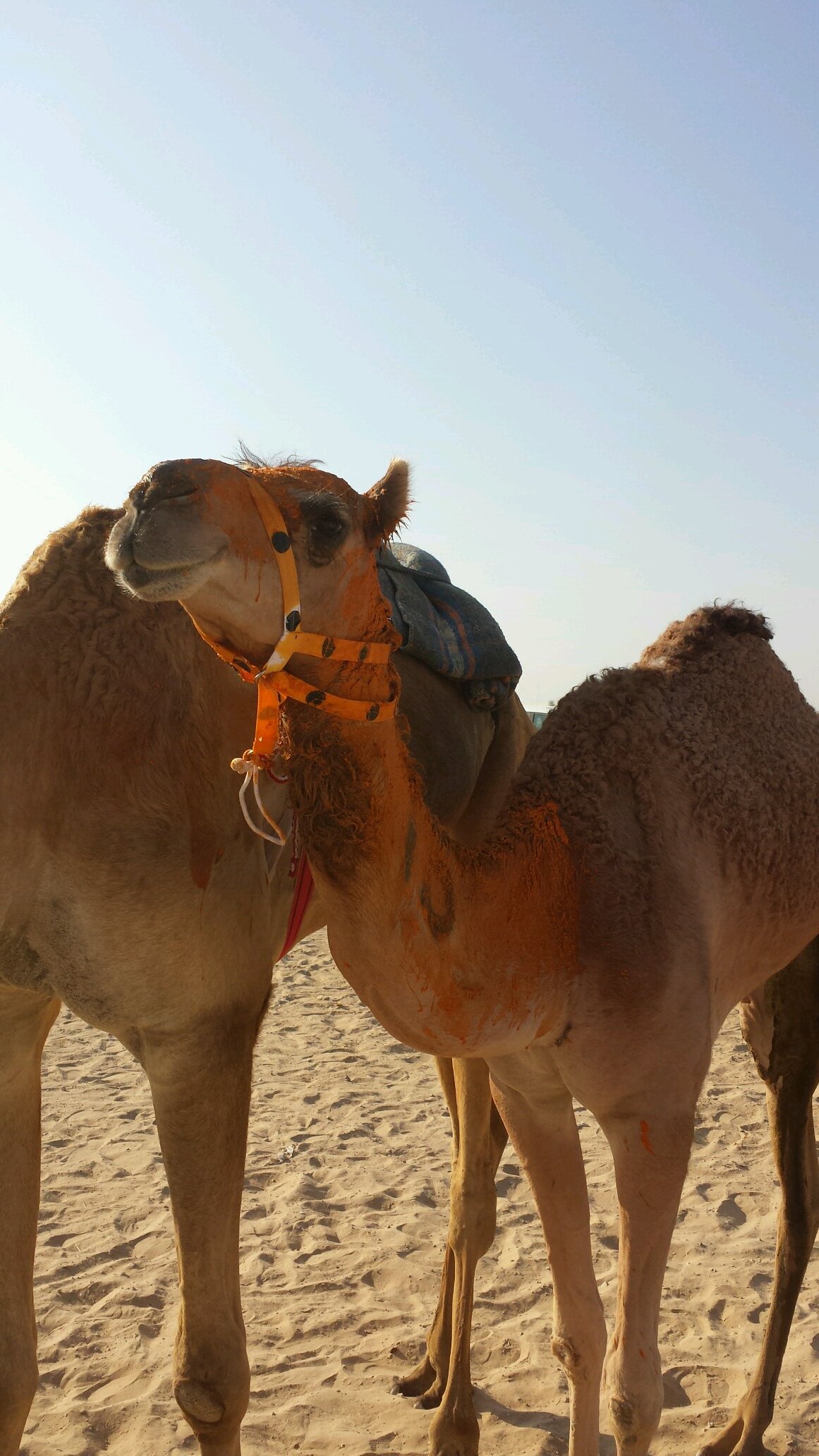 mrs99111's profile picture. 