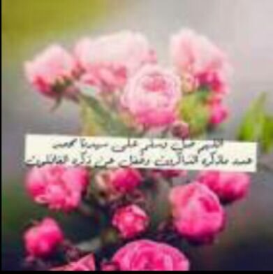 كلما تفتح السيره لدي صلوا علي النبي عشرا مرات عليه الصلاه والسلام