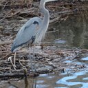 Patrick Wellman  - @Rateacade - Twitter