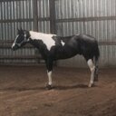 Amanda Cable - @cablefarms08 - Twitter