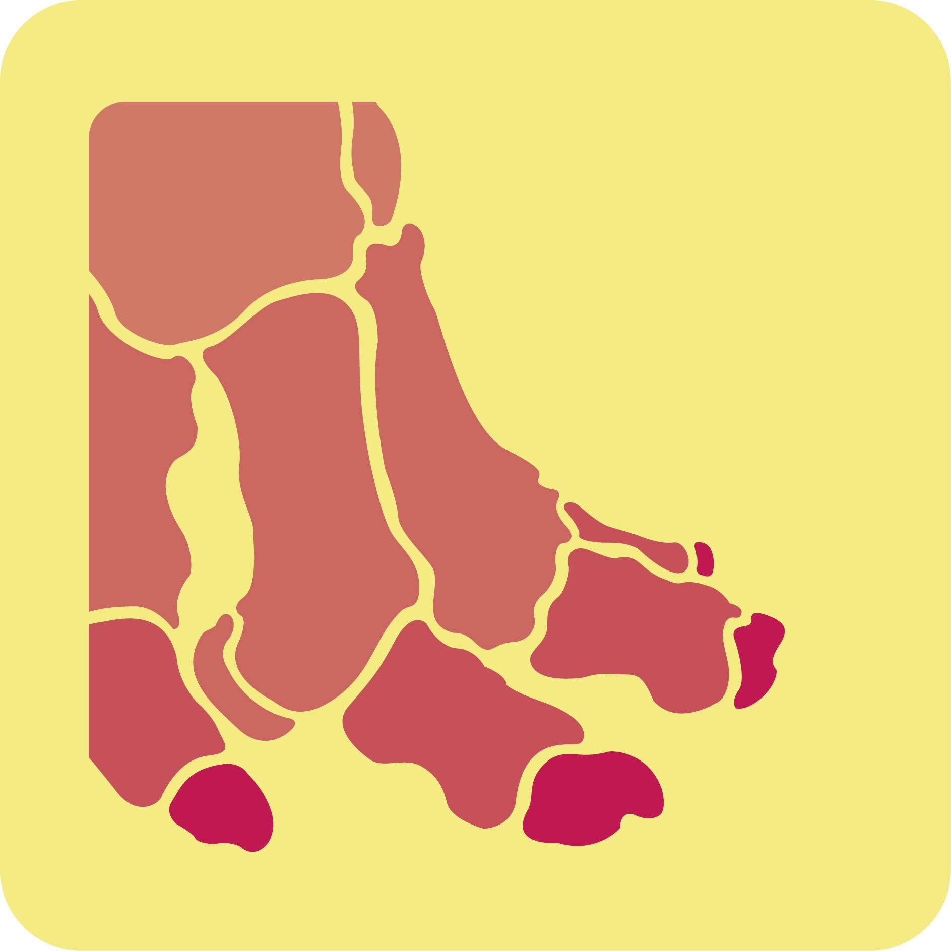 somosestampida's profile picture. Somos una organización cultural cuyo principal interés es generar una plataforma artística a partir de proyectos emergentes en la ciudad de Puebla.