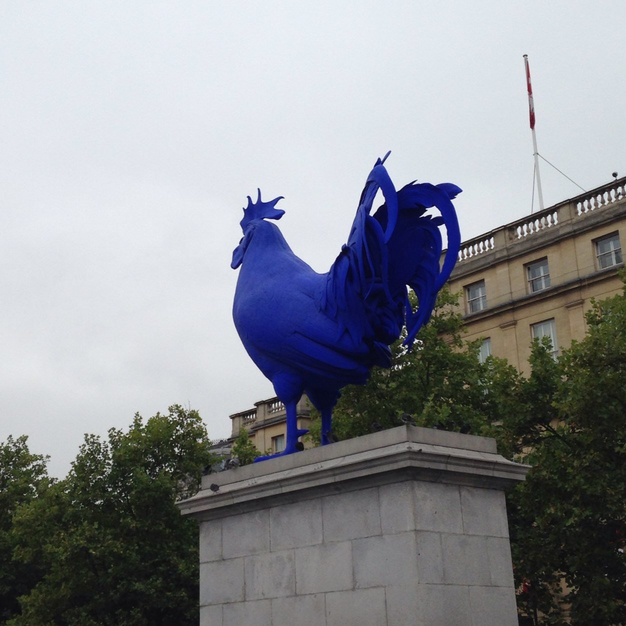 cocq88's profile picture. 