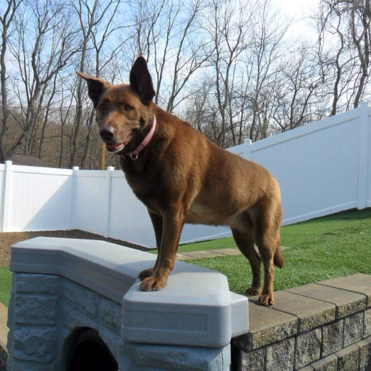 SgtPickleStork's profile picture. Pittsburgher born and raised. Penguins, Buccos, and Arsenal FC