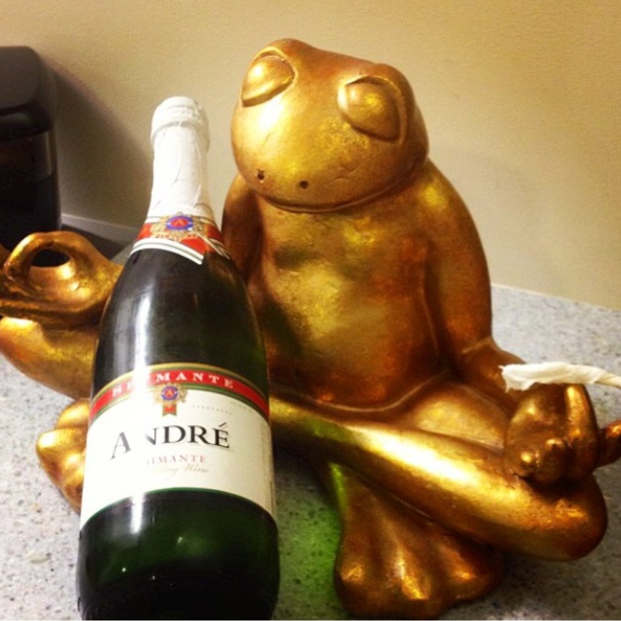 AlbinoFrogGirls's profile picture. debauchery at its finest. FU 2014. Fairfield B3ach.