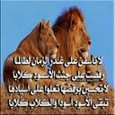 صقراليماني (@22_hashid) Twitter