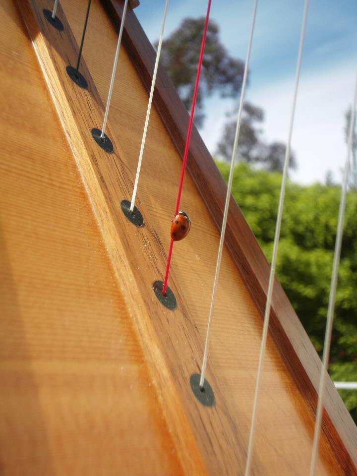 HarpBazaar's profile picture. for everything harpy!