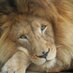 Kemal Hizli (@hizlik) Twitter profile photo Kemal Hizli (@hizlik) Twitter profile photo