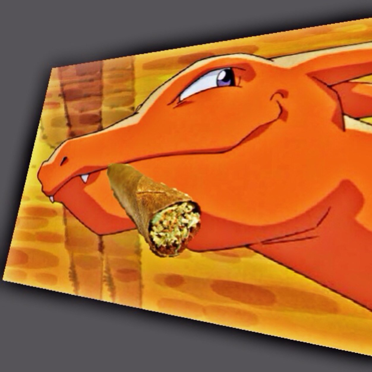 Update yourself on Charizards amazing revolutionary ideas and adventures.