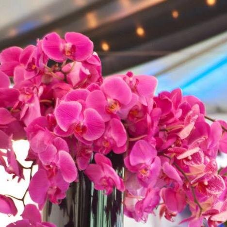 Piccolo's Florist has bee serving the Omaha community with the very best flowers since 1982!