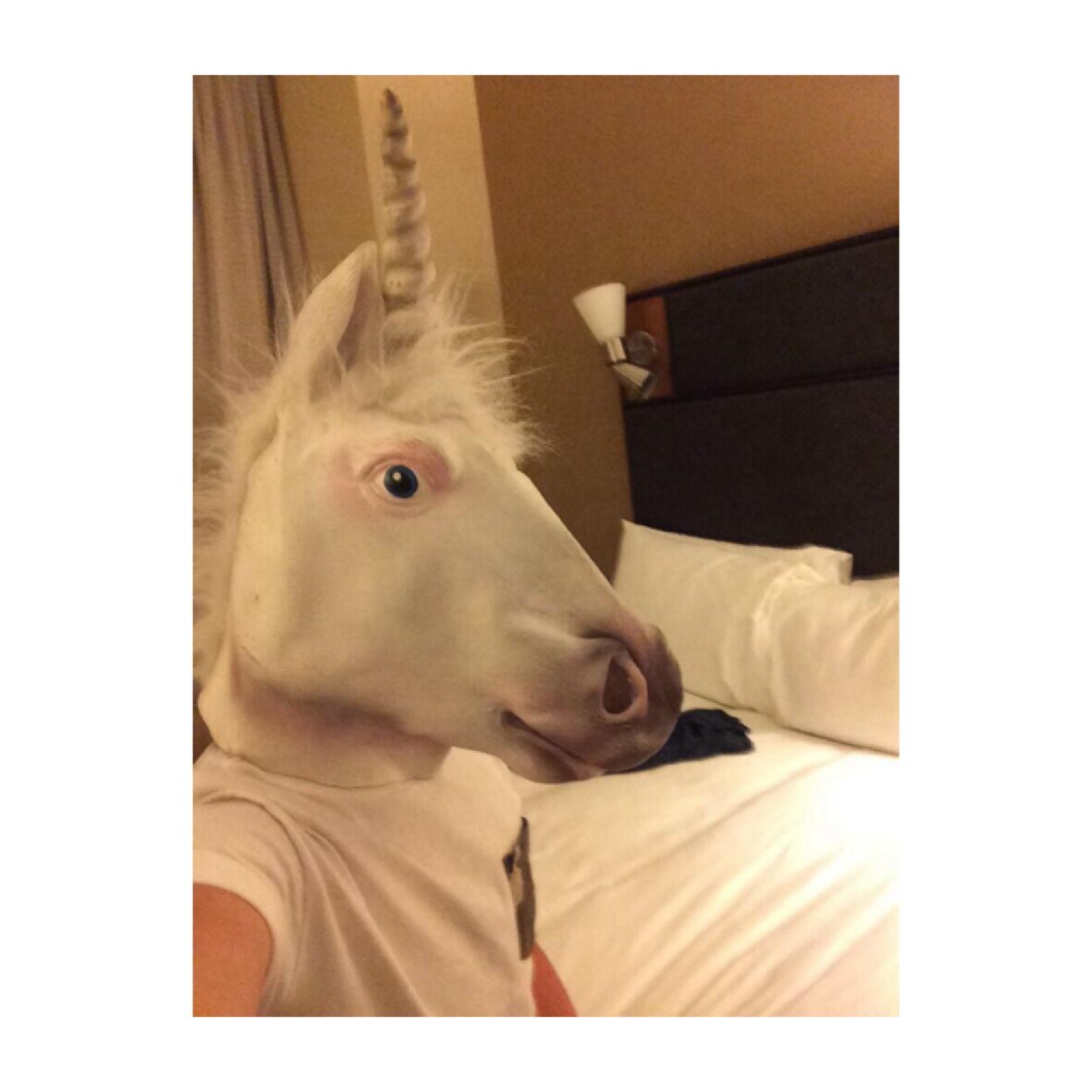 BIORTT's profile picture. THIS IS A FREE FOLLOW. DO NOT FOLLOW ME HERE, instead @shittygurl and http://t.co/N8J8nQ6vbW #TEAMFOLLOWBACK