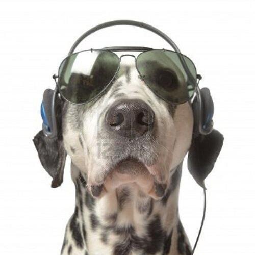 Coolumbia's profile picture. Bringing you all that's Cool in #FamouslyHot #ColumbiaSC - Music, Art, Museums, Concerts, Restaurants, Community Events, Food, Shopping, more...