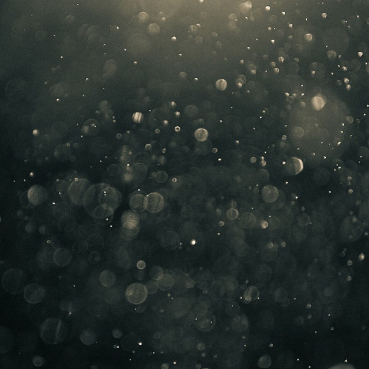 JamieNuFcKnight's profile picture. If you Believe Football is a Dream, Turn It Around And Make It A Reality. Cinderford Town u16's