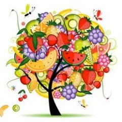 Food2People's profile picture. We are a grassroots, all-volunteer organization committed to developing innovative solutions to hunger-proof our communities.