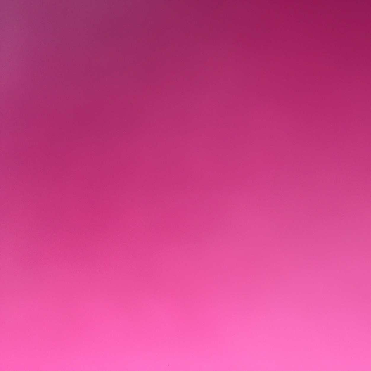 Erasmusprogram's profile picture. 