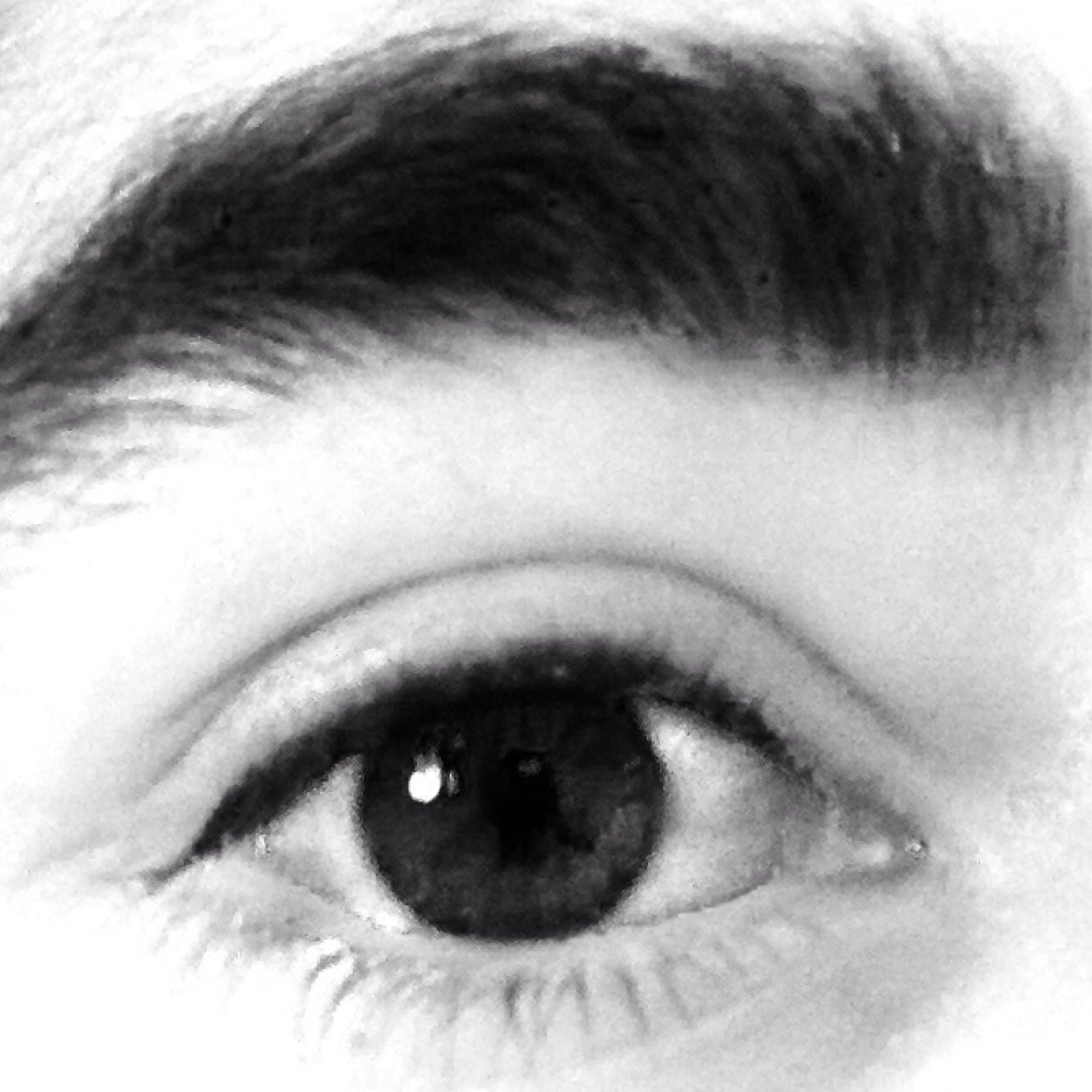 AlbertoVinolas's profile picture. 