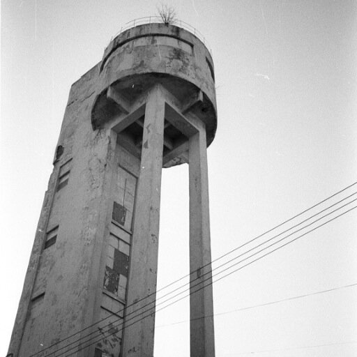 arg_allergiker's profile picture. sporadiska iakttagelser från den offentliga sektorn. tillfälligt uppehåll/on hold.