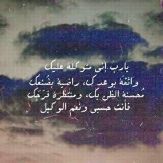 shms_180180's profile picture. 