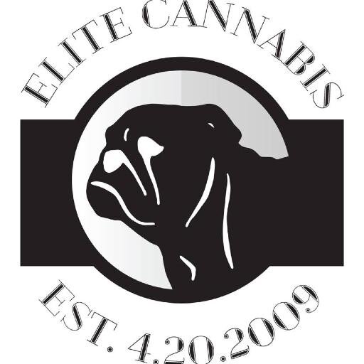 Elite skills, Connoisseur genetics, Obsessive approach