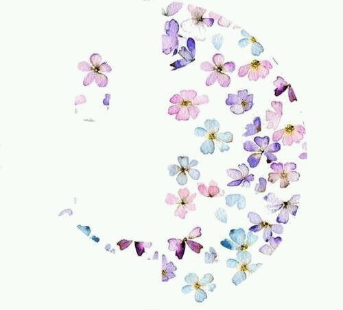 niepogodnie's profile picture. 