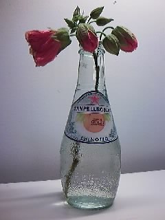 olianatulip's profile picture. Musician.