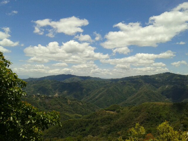 aclh84's profile picture. Dios bendiga y proteja a mi Venezuela Linda