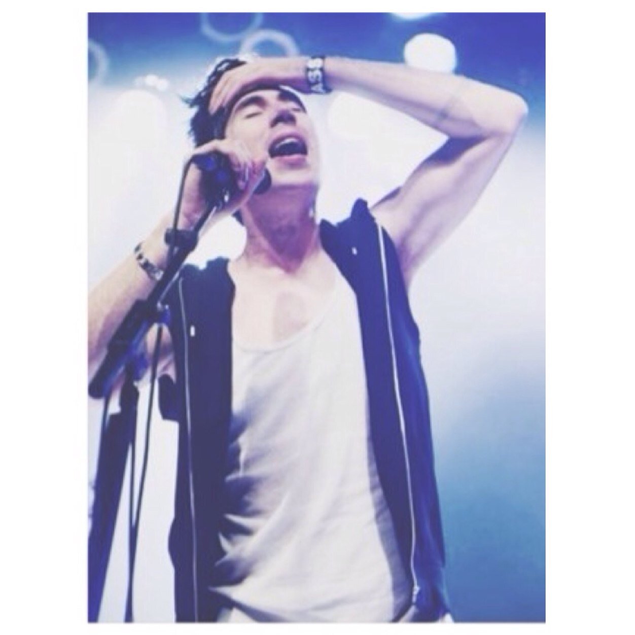 feedthesharky's profile picture. thats not what ur man said last night