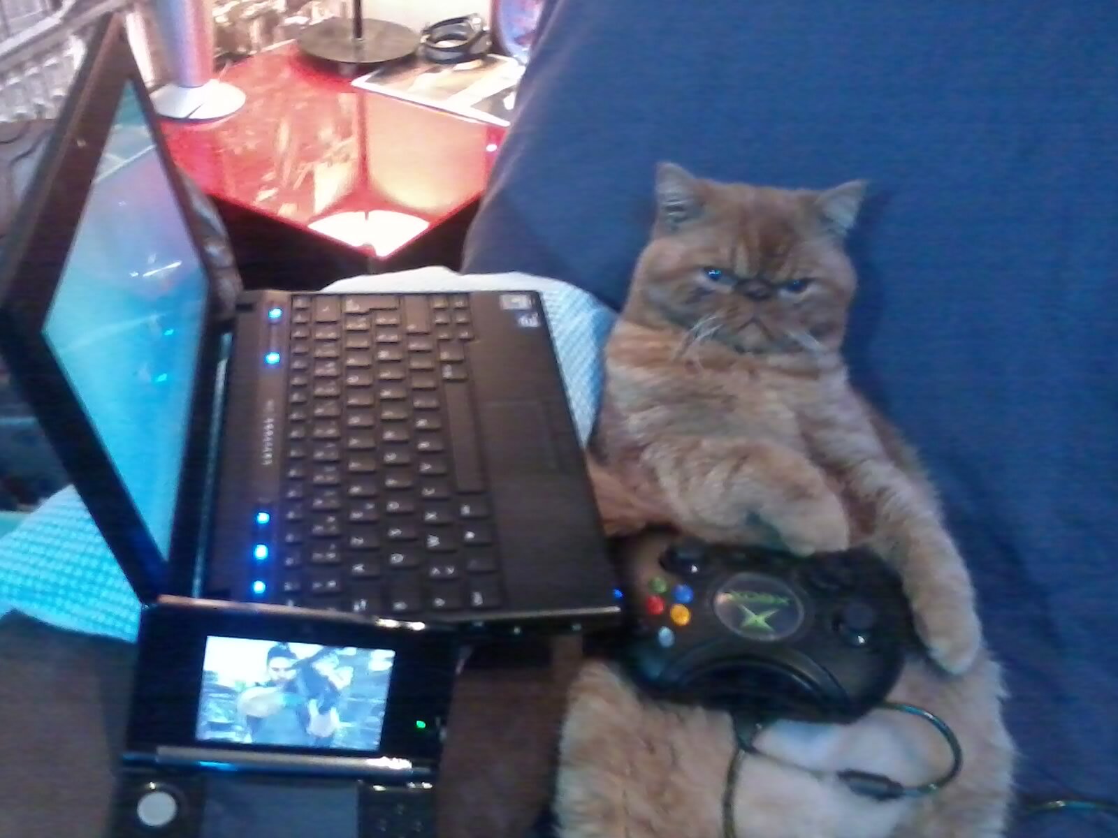 RaworeLord's profile picture. 