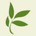 Timberline Knolls (@timberlinetoday) Twitter profile photo