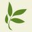 TimberlineToday's profile image