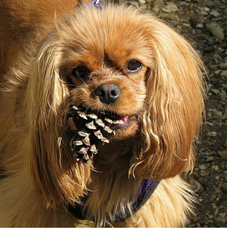 ocsozo61's profile picture. 