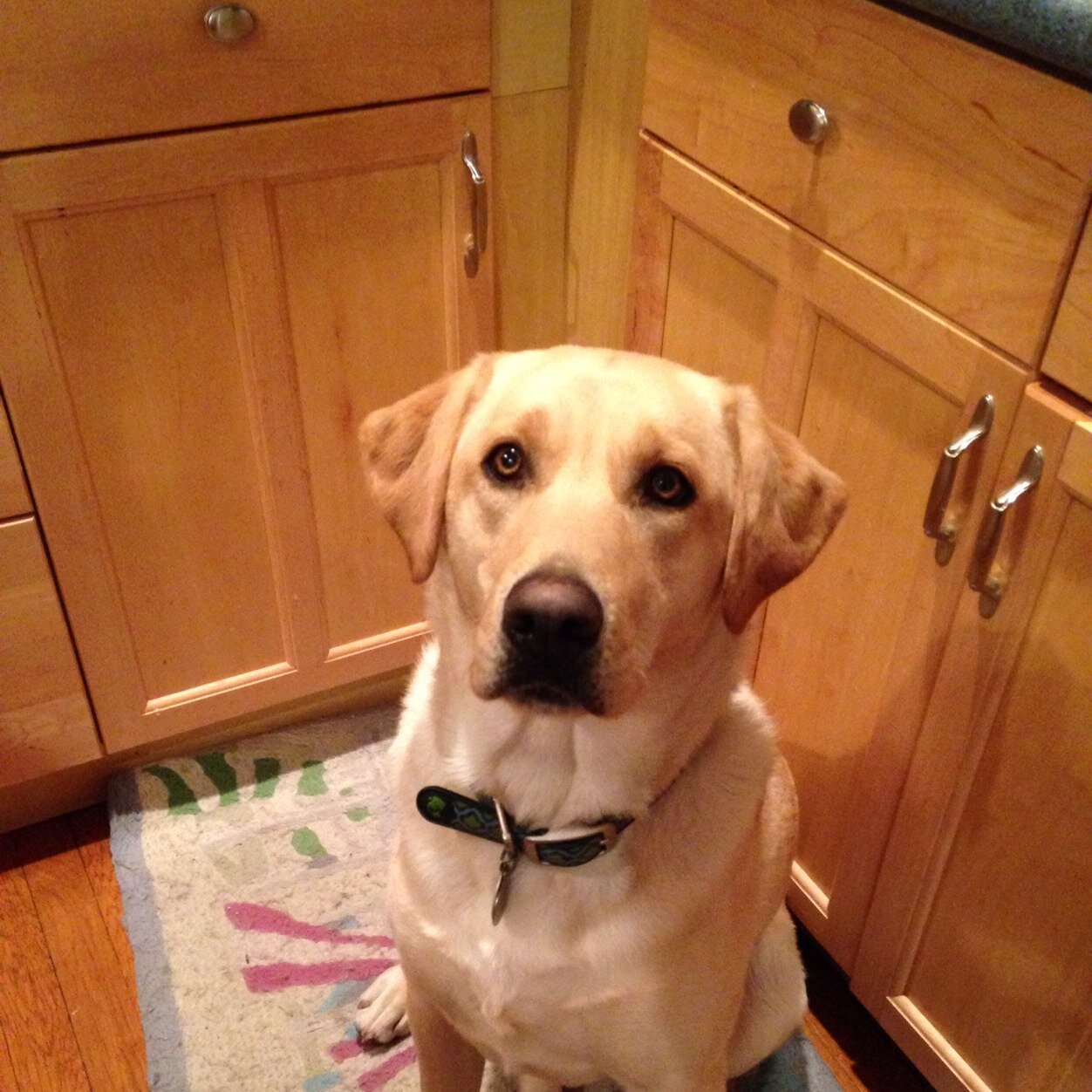 CQXreid's profile picture. 