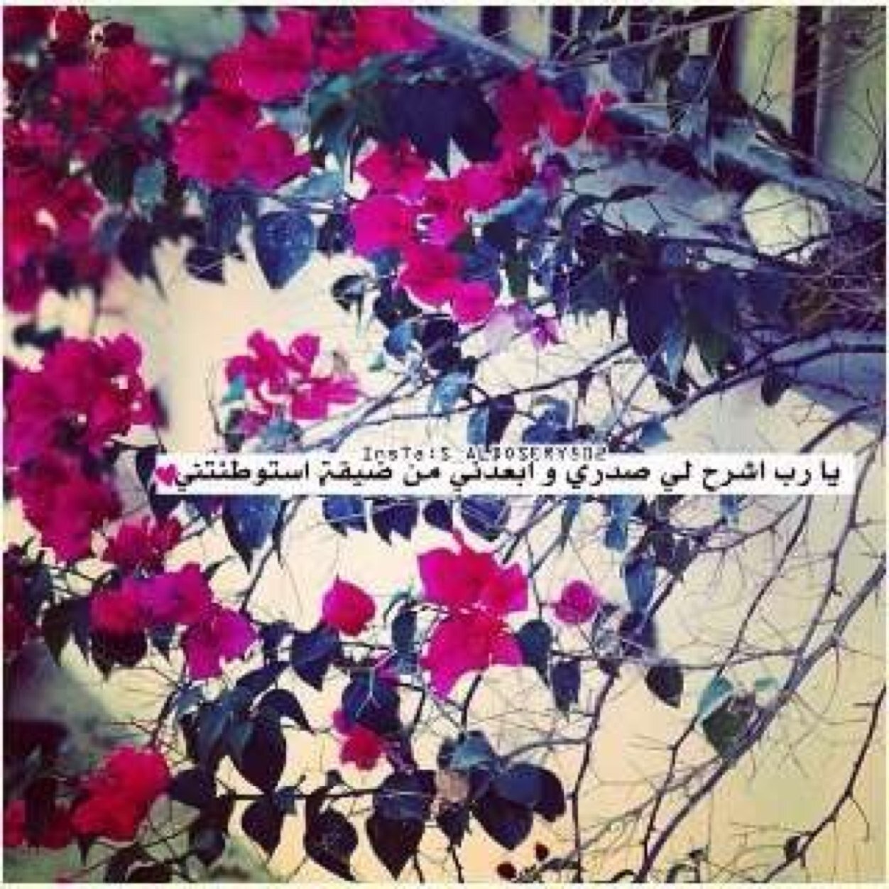 {الا بذكر الله تطمئن القلوب} ❤️