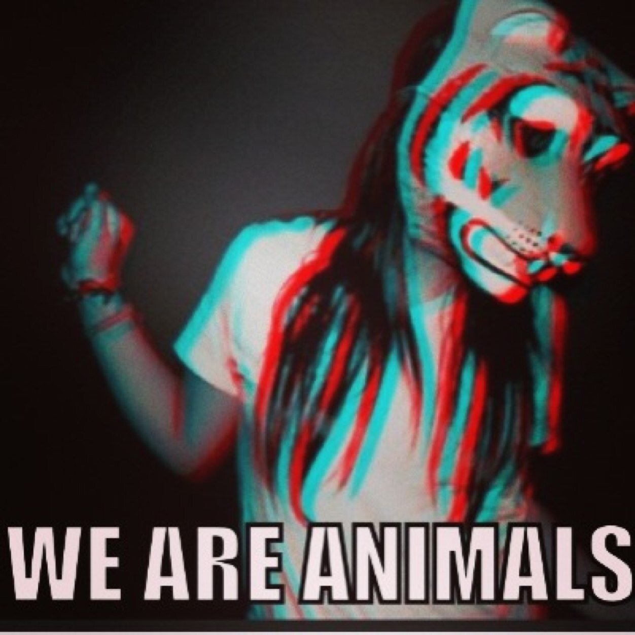 WE ARE ANIMALS 2014 // BOOKING OF JAVIER MUÑOZO:+34619510017