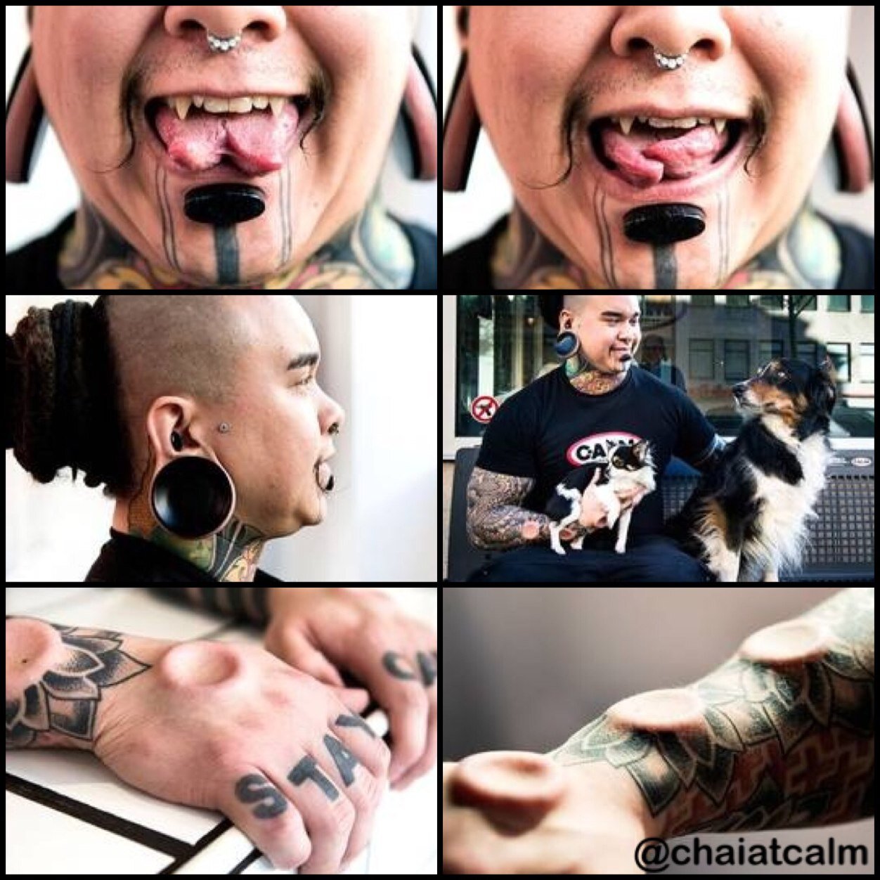 CalmBodymod's profile picture. Piercings & Modifications