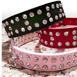 Wholesale Pet Supplies & Accessories : 
http://t.co/pp5zuS8BER 
https://t.co/gHGFXUKRNh