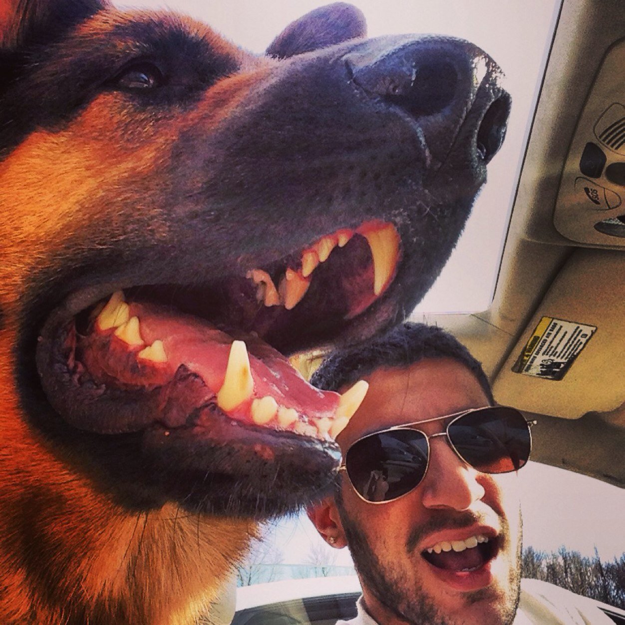 Ben_Yakir_Levy's profile picture. Buenas dias muchachos