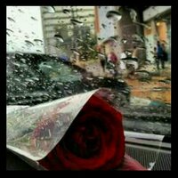 اسيل  (@asel_13151) Twitter profile photo