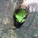 Barry Hoffman - @kneedropper1 - Twitter