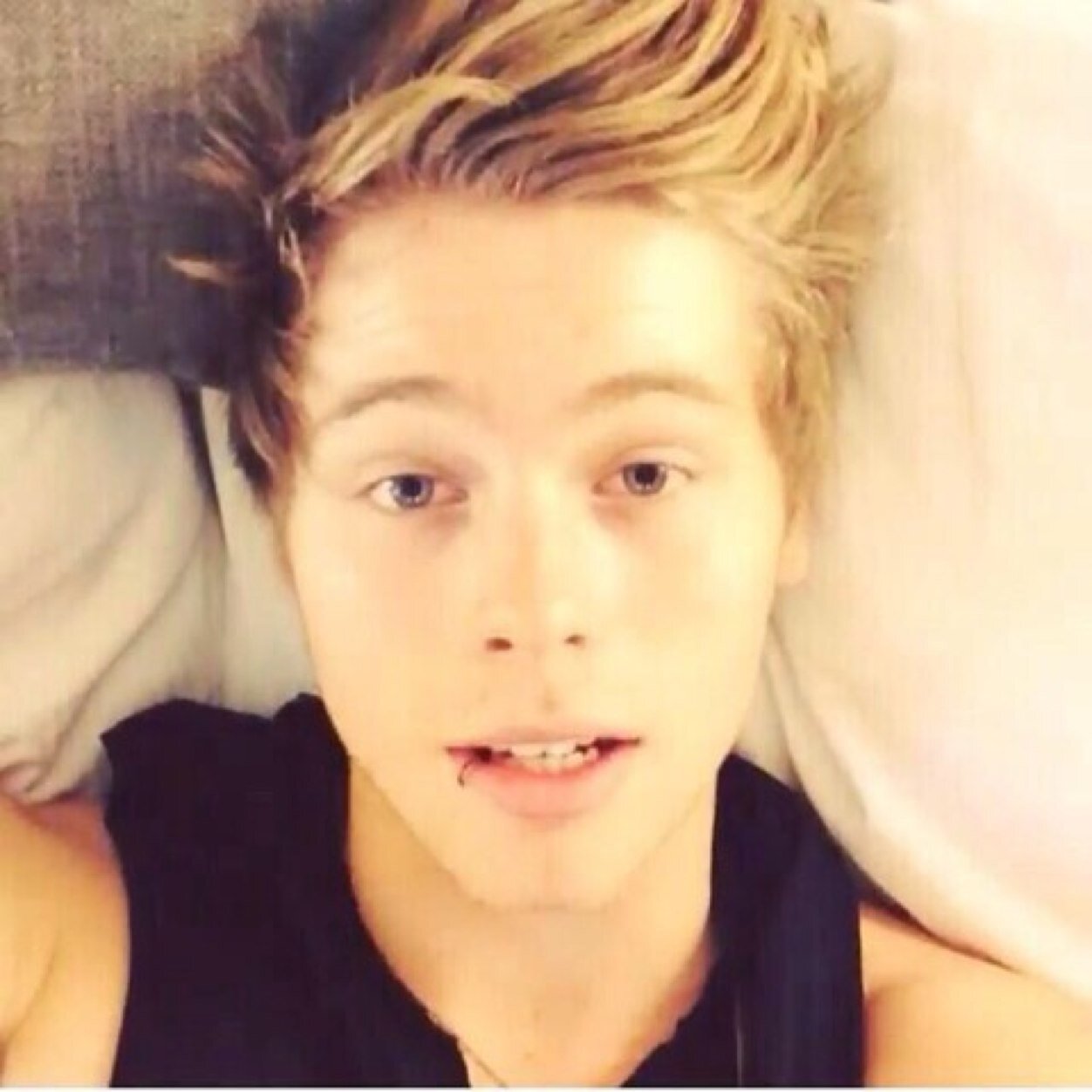 1D | 5SOS | O2L | Magcon boys | Penguin #NouisNutella @LotteClifford ♡ here to support my idols