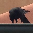 Holly Bond - @HollyBond14 - Twitter