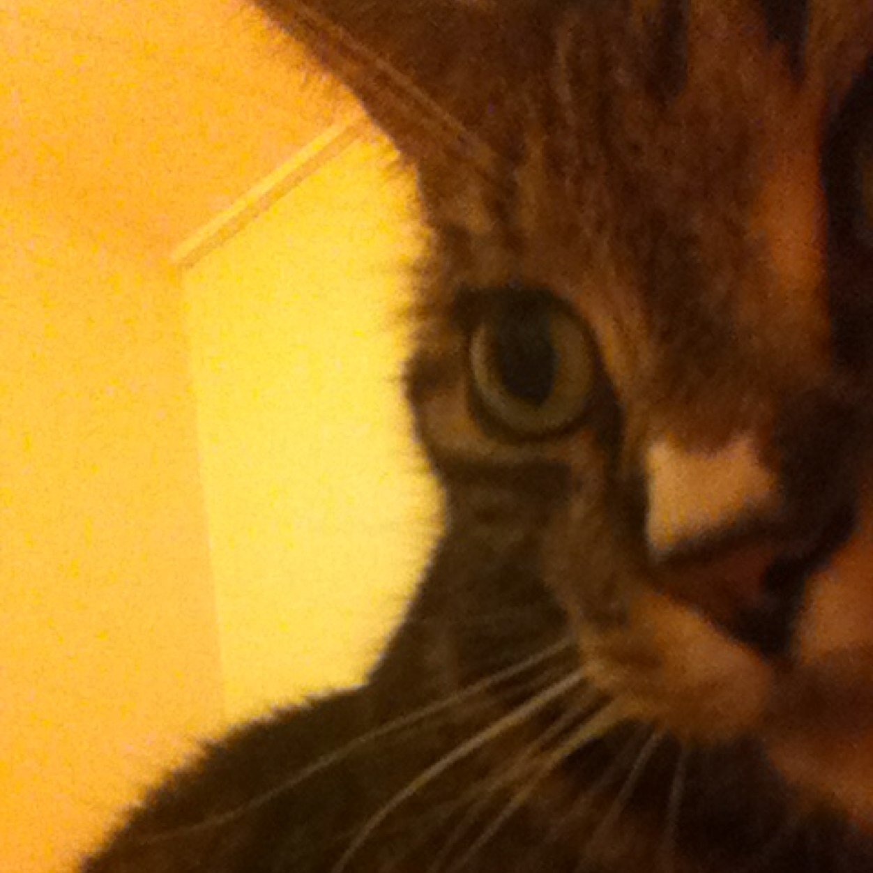 JulieKTF's profile picture. Situated somewhere in the North West of the UK. Free as a bird. It’s the next best thing to be.