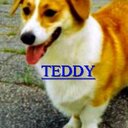 Robert Bausch - @squirt7788 - Twitter