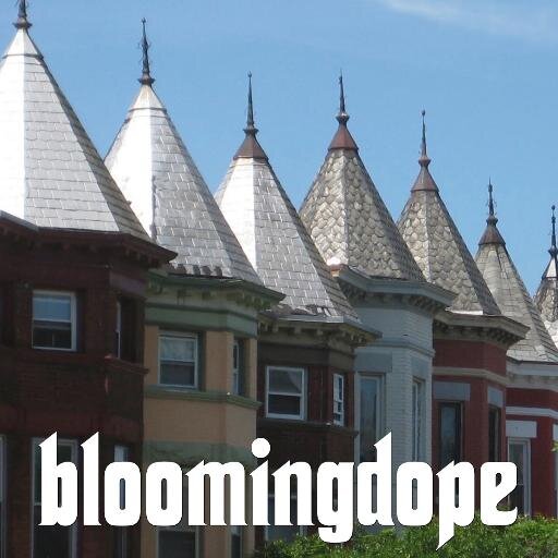 bloomingdope's profile picture. the cooler side of bloomingdale