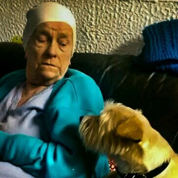 liambegley13's profile picture. 