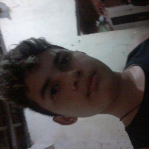 gato_nielxinho's profile picture. 