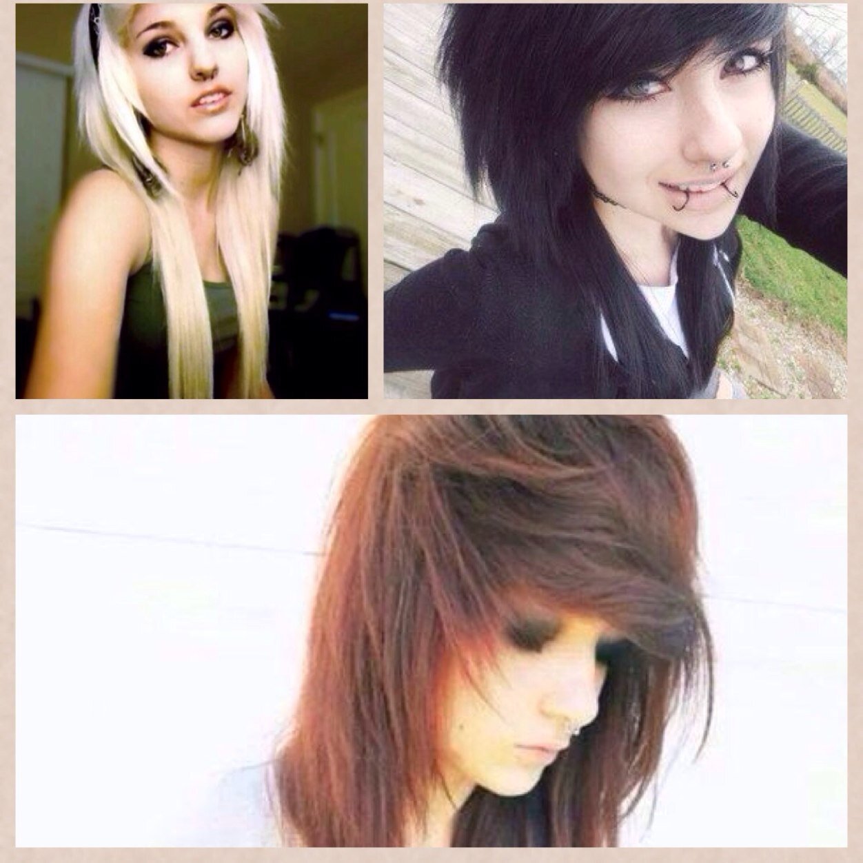 NicoleAlliLexi1's profile picture. Nicole- 18 whore bi but likes guys way  more Alli- 17 single and looking Lexi- 18 single