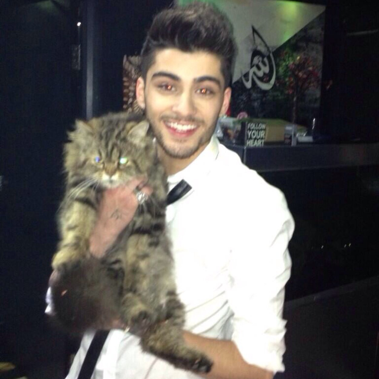 ZaynMalik_Pd's profile picture. Single and looking