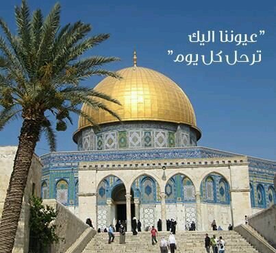 والله غالب على أمره
